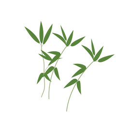 Bamboo-leaves