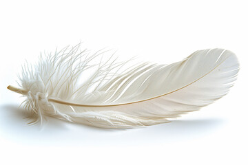 Obraz premium 白い羽根「AI生成画像」