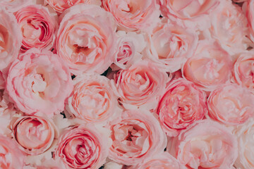 敷き詰められたピンクのばら