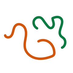 Fototapeta premium Green orange squiggly lines decoration 
