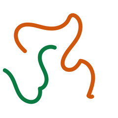 Fototapeta premium Green orange squiggly lines decoration 
