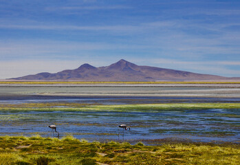 Chile fotografias de San Pedro De Atacama Sudamerica