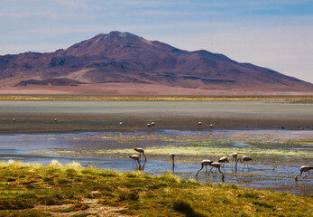 Chile fotografias de San Pedro De Atacama Sudamerica