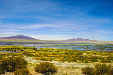 Chile fotografias de San Pedro De Atacama Sudamerica