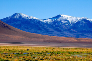 Chile fotografias de San Pedro De Atacama Sudamerica