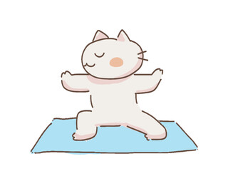 ヨガをするかわいい猫