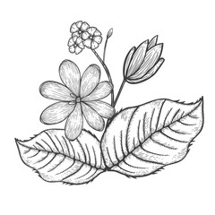 Engraving flowers
