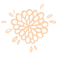 Beige chrysanthemum