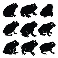 Set of American Toad black Silhouette Vector on a white background