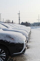 A row of SUVs sit in a parking lot covered in a blanket of snow.