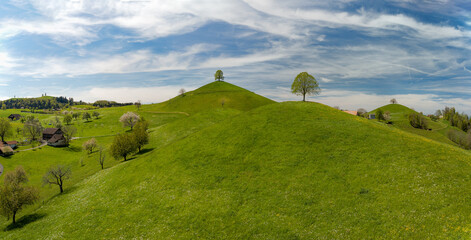 Aerial panorama image of drumlin hills landscape with single trees on hill top