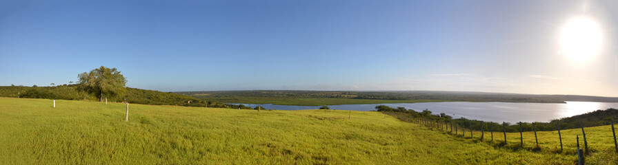 Panoramic photo of a lush green hay plantation under rural blue sky, grass texture and beautiful lake in the background. Beautiful morning light on green grass farm. Pedra do Cavalo Dam Lagoon