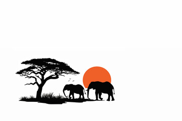 savane au coucher du soleil, 2 éléphants sous un acacia avec un énorme soleil orange qui passe derrière l'horizon. Sur fond blanc avec espace négatif copyspace
