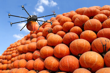 Agriculture technology concept with drone carry pumpkin
