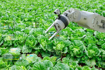 Agriculture technology concept with assistant robot and graphic display