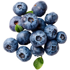 Blueberry Blueberries Bilberry Bilberries, many angles and view side top
