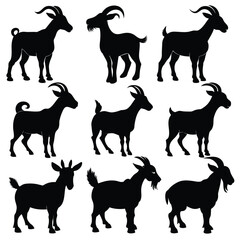 Set of Black Alpine Goat Silhouette Vector on a white background