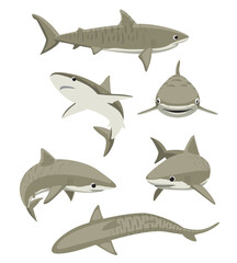 Cute Tiger Shark Poses Set Cartoon Vector