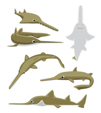 Cute Sawshark Poses Set Cartoon Vector