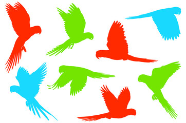 Flying colorful parrot illustrations isolated on transparent background, silhouette illustration 