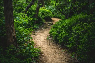 Fototapeta premium A path through a forest with trees and bushes. The path is narrow and winding, and the trees are tall and green. Scene is peaceful and serene, as the viewer is surrounded by nature