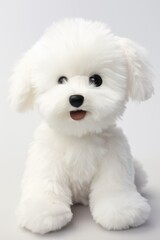 Obraz premium A white stuffed dog is sitting on a white background. The dog has a black nose and a black eye