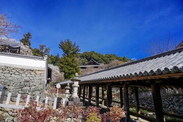 青空バックに見上げる寺院の石段の情景