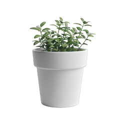 Obraz premium White empty flower pot isolated on white background