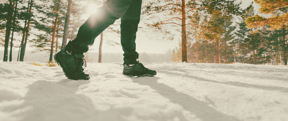 walking in the winter forest