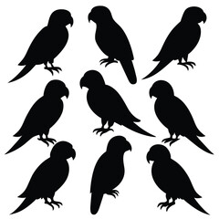 Set of Black Amazon Parrot Silhouette Vector on a white background
