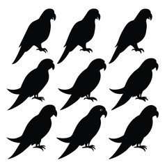 Set of Black Amazon Parrot Silhouette Vector on a white background