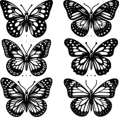 Fototapeta premium butterfly silhouette vector