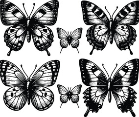 Obraz premium butterfly silhouette vector