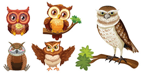 Five diverse owls illustrated in vibrant colors