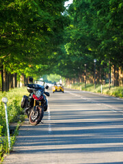 新緑のメタセコイヤ並木とバイク