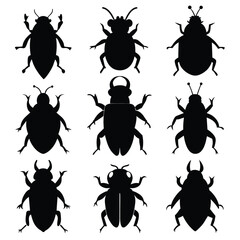 Set of Black Ambrosia Beetle Silhouette Vector on a white background