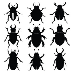 Set of Black Ambrosia Beetle Silhouette Vector on a white background