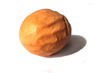 artist chicken egg isolated