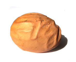 artist chicken egg isolated