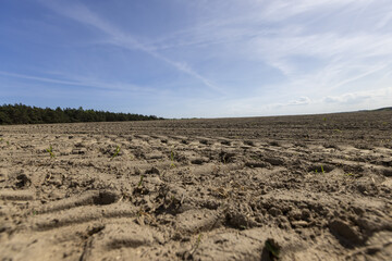 plowed soil field with traces of cars and tractors