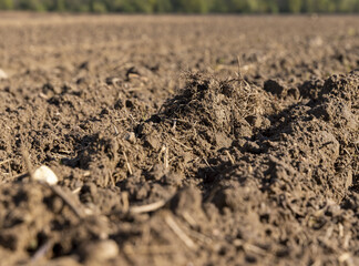 preparing the soil for sowing in spring