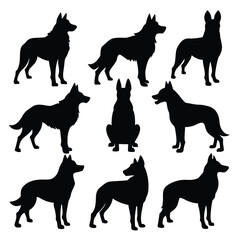 Set of Black American Alsatian Silhouette Vector on a white background