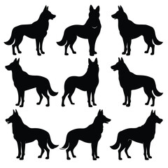 Set of Black American Alsatian Silhouette Vector on a white background