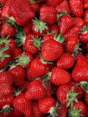 Ripe, juicy, fresh strawberries in close-up. Vertical shot of red strawberries, top view. 