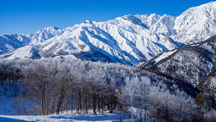 八方尾根と冬の北アルプス　後立山連峰