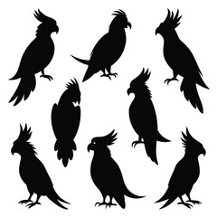 Set of Cockatoo animal black Silhouette Vector on a white background