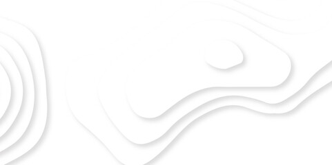 Paper cut background. Grey abstract wave shapes. Trendy 3D design illustration. White abstract wavy paper cut background with shadows, Vector. Modern design.