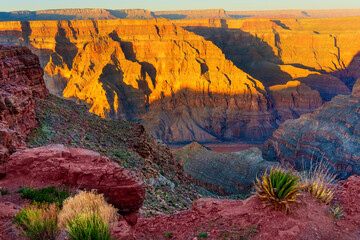 Sparse Vegetation of the Grand Canyon