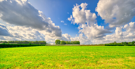 Big clouds floating over a rustic landscape in The Netherlands.