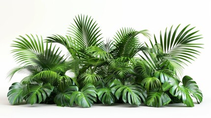 Fototapeta premium Green palm foliage cut out white background